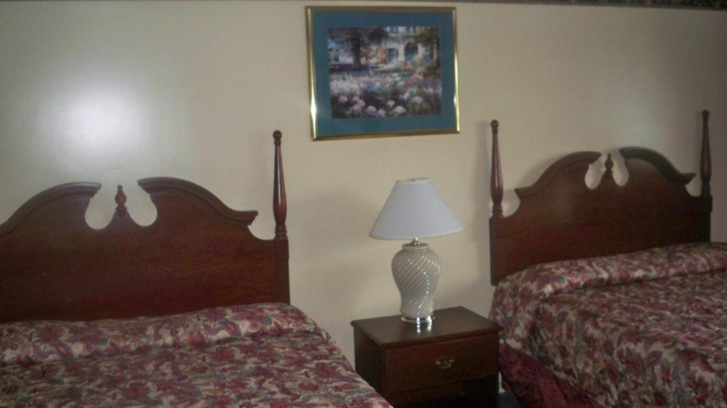 Catalina Airport Motel Avon Habitación foto